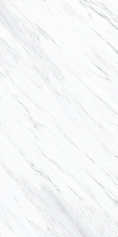 Bianco Elegance