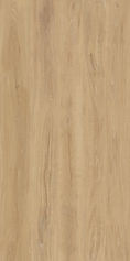 Kauri